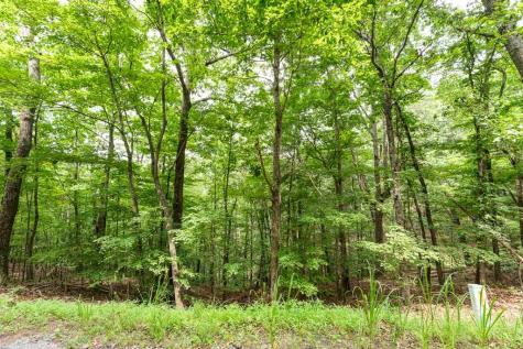 0 Deer Lane Ellijay GA 30540