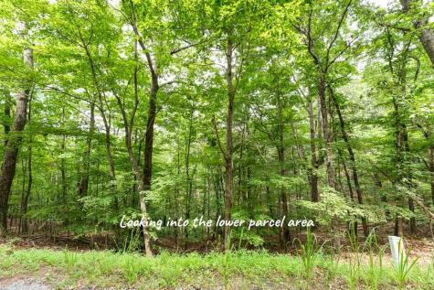 0 Deer Lane Ellijay GA 30540