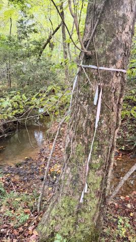 00 Humphrey Mill Road Mineral Bluff GA 30559
