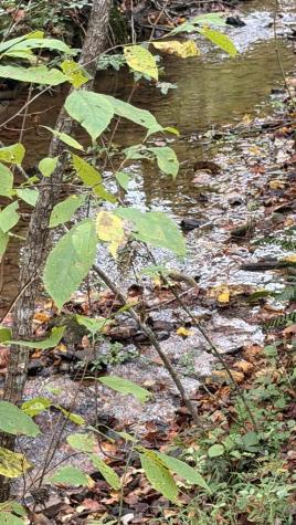 00 Humphrey Mill Road Mineral Bluff GA 30559