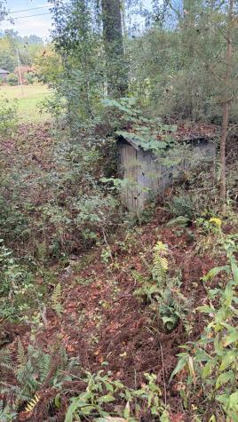 00 Humphrey Mill Road Mineral Bluff GA 30559