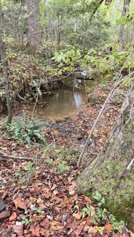 00 Humphrey Mill Road Mineral Bluff GA 30559