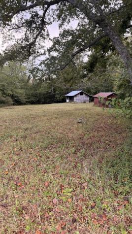 00 Humphrey Mill Road Mineral Bluff GA 30559