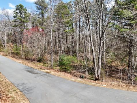 Lot 37 Shady Ridge Road Blairsville GA 30512