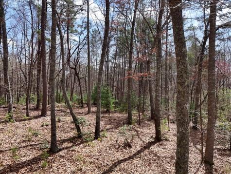 Lot 37 Shady Ridge Road Blairsville GA 30512