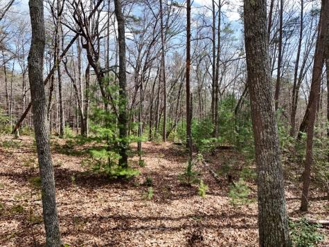 Lot 37 Shady Ridge Road Blairsville GA 30512