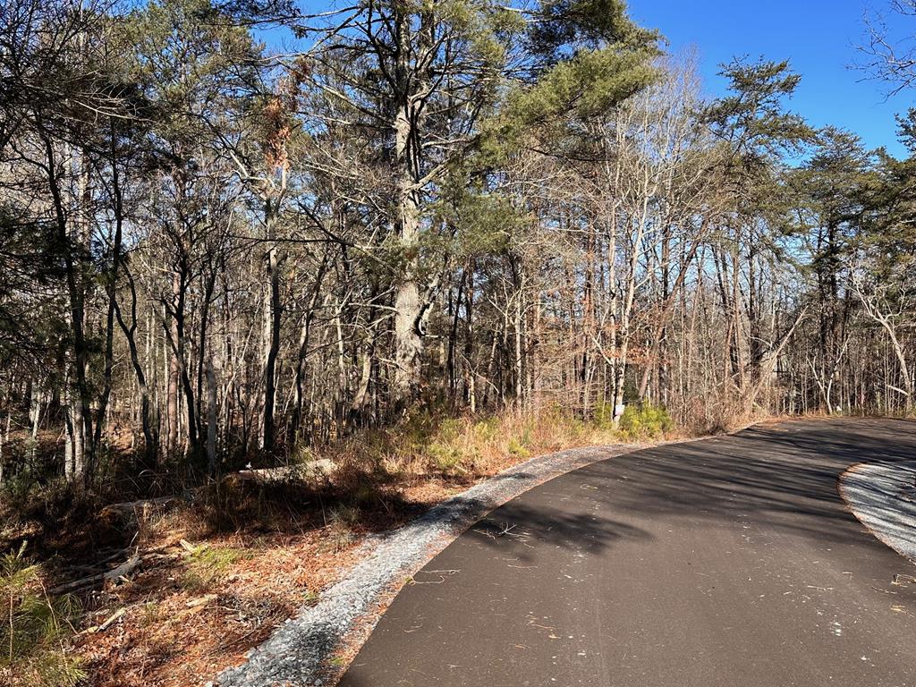Lot 14 Fairview Way Blue Ridge GA 30560