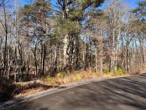Lot 14 Fairview Way Blue Ridge GA 30560