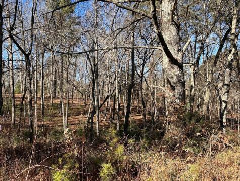 Lot 14 Fairview Way Blue Ridge GA 30560