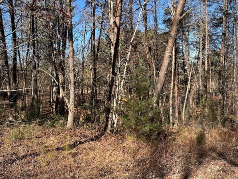 Lot 14 Fairview Way Blue Ridge GA 30560