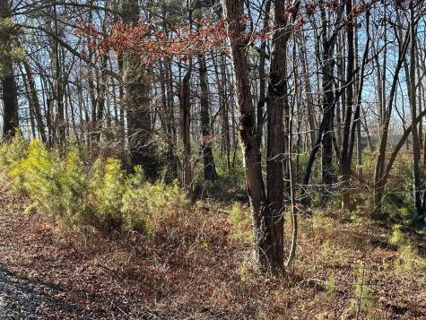 Lot 14 Fairview Way Blue Ridge GA 30560