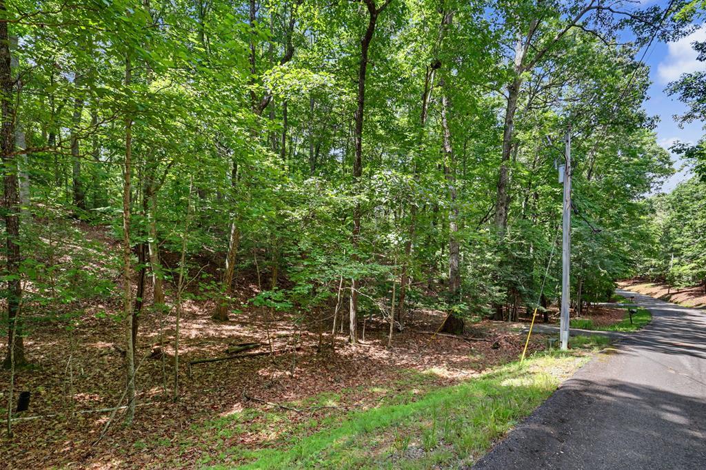 Tract 3 Wilmar Circle Blairsville GA 30512