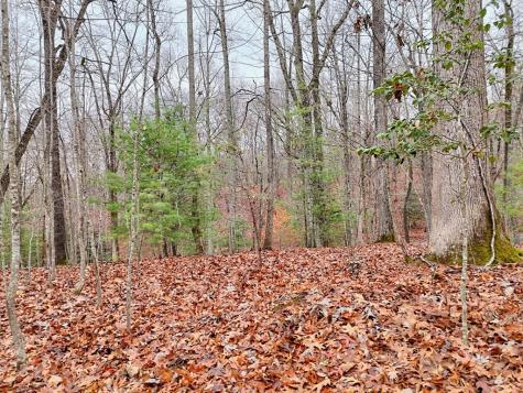 Tract 3 Wilmar Circle Blairsville GA 30512