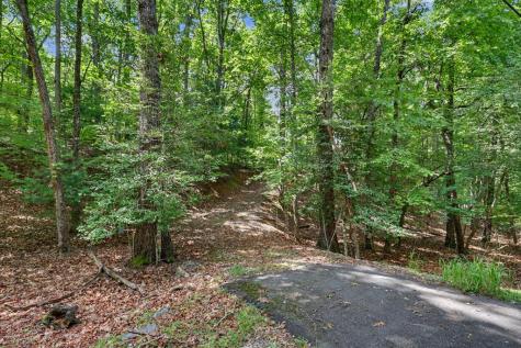Tract 3 Wilmar Circle Blairsville GA 30512