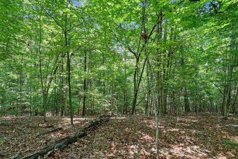 Tract 3 Wilmar Circle Blairsville GA 30512