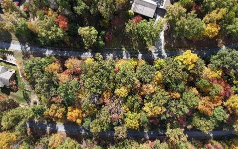 Lt 15 Fox Crossing Blairsville GA 30512
