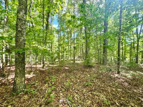 LT 3 Rockridge Road Murphy NC 26906