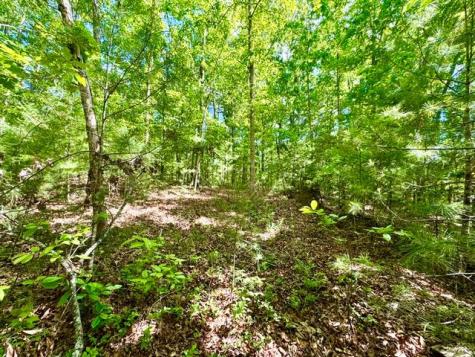 LT 3 Rockridge Road Murphy NC 26906