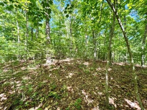 Lt 3 Rockridge Road Murphy NC 26906