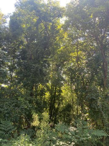 Lot 112 Natalie Lane Blairsville GA 30512