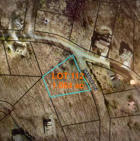 Lot 112 Natalie Lane Blairsville GA 30512