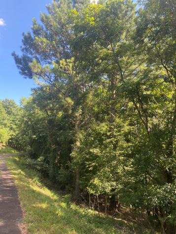 Lot 112 Natalie Lane Blairsville GA 30512