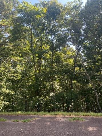 Lot 112 Natalie Lane Blairsville GA 30512