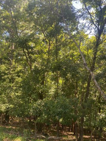 Lot 112 Natalie Lane Blairsville GA 30512