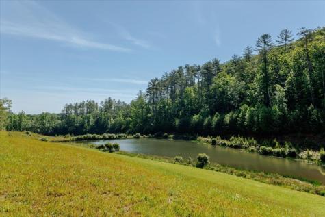 5260 Hardscrabble Road Mineral Bluff GA 30559