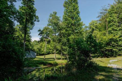 5260 Hardscrabble Road Mineral Bluff GA 30559