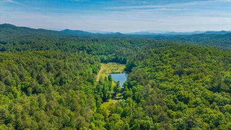 5260 Hardscrabble Road Mineral Bluff GA 30559