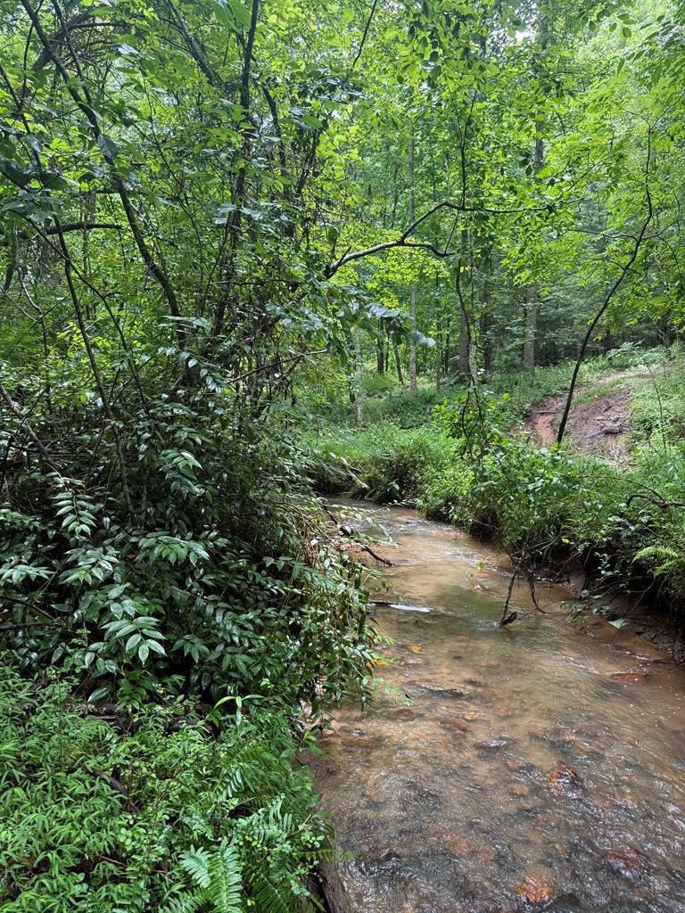 Tbd Pinelog Church Road Brasstown NC 28902