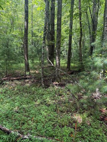 Tbd Pinelog Church Road Brasstown NC 28902