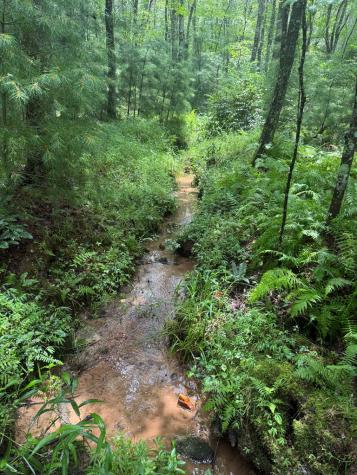 Tbd Pinelog Church Road Brasstown NC 28902