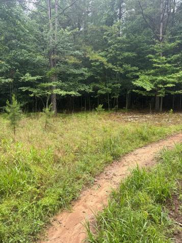 Tbd Pinelog Church Road Brasstown NC 28902