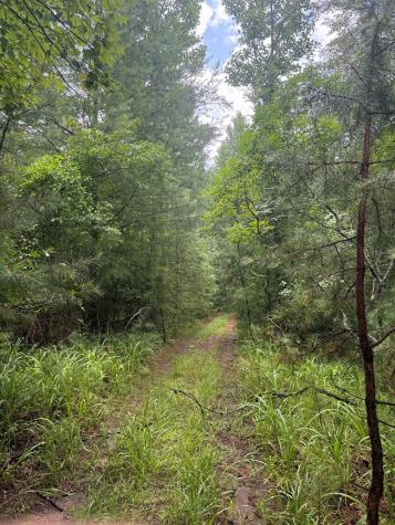 Tbd Pinelog Church Road Brasstown NC 28902