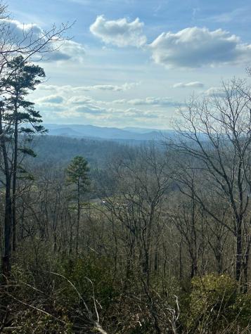 Lot 4 Blue Horizon Drive Blue Ridge GA 30513