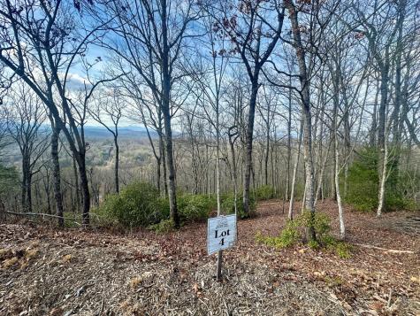 Lot 4 Blue Horizon Drive Blue Ridge GA 30513