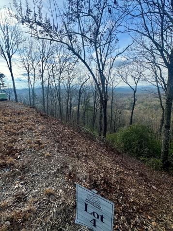 Lot 4 Blue Horizon Drive Blue Ridge GA 30513