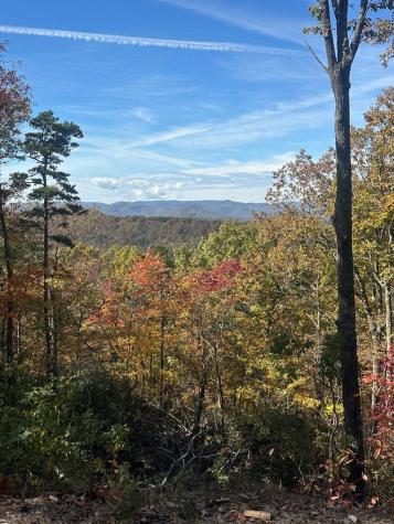 Lot 4 Blue Horizon Drive Blue Ridge GA 30513