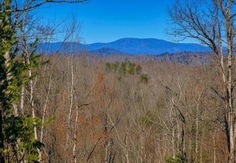Lot 4 Blue Horizon Drive Blue Ridge GA 30513