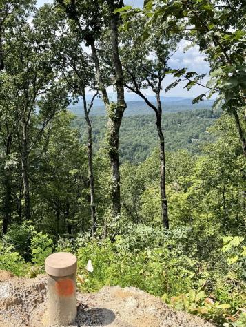 Lot 4 Blue Horizon Drive Blue Ridge GA 30513