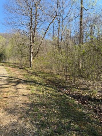 Lot 16-n High Meadows Drive Hayesville NC 28904