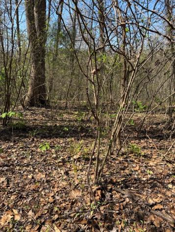 Lot 16-n High Meadows Drive Hayesville NC 28904