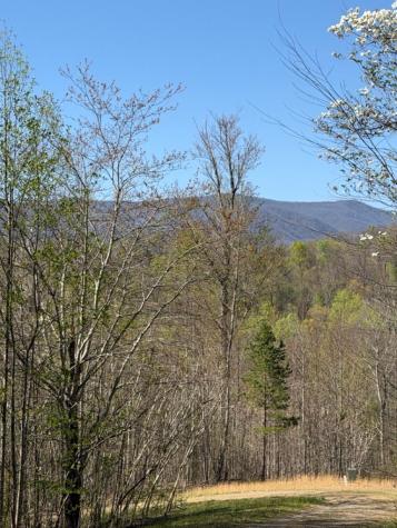 Lot 16-n High Meadows Drive Hayesville NC 28904