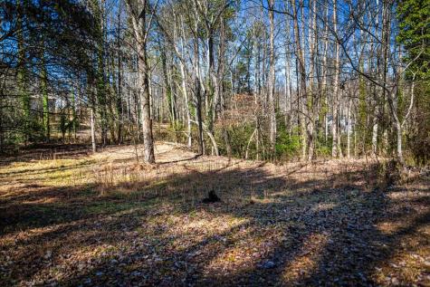 Tract B Captains Cove Blairsville GA 30512