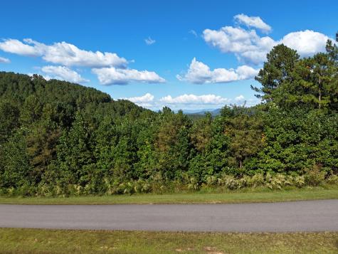 LOT55 Thirteen Hundred Blairsville GA 30512