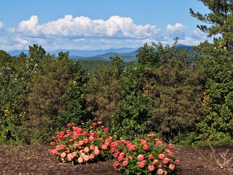 LOT55 Thirteen Hundred Blairsville GA 30512