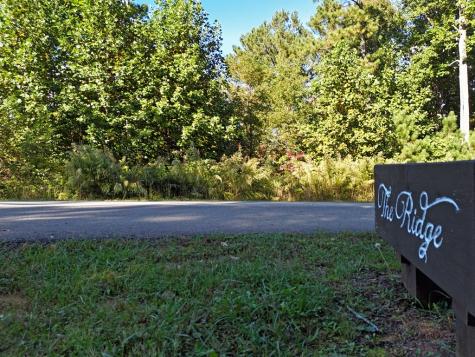 LOT55 Thirteen Hundred Blairsville GA 30512