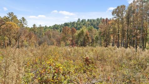 0 Whispering Pines Road Morganton GA 30560